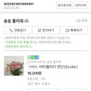 플라워버터플라이 이미지