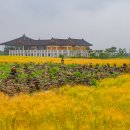 분황1