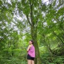 말보로맨 오토캠핑장 이미지