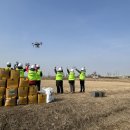 장대들길 이미지