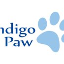 바른한끼 이미지