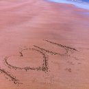 ........................................ 이미지