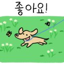 영동 현대 서비스 이미지