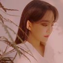 마인드셋스튜디오