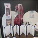 열린스크린골프 | 제1회 대구서 재점 피닉스 스크린 파크골프 대회 결승전 관전 후기