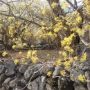 김박사약국 이미지