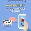 꼼꼼 이미지