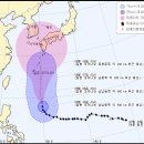 제 11호 태풍 할롱(HALONG) 08월 05일 04시 이미지