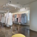 다이엔골드 - 고양시 일산서구 중앙로 1436 | W 2부 드레스 추천 케이드레스 오브 백색지 한남점
