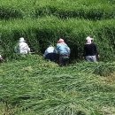 유촌2리 이미지