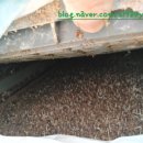 익선농장 이미지