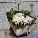 오픈박스 나운점 이미지