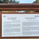 진주 상대동 고분군 이미지
