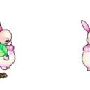 다람쥐신발나라 이미지