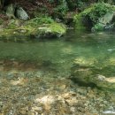 숲속의 하얀펜션 이미지