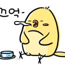 형용농장 네이버블로그
