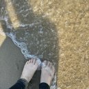 올인원게스트하우스 | 양리단길서핑 양양솔게스트하우스와 양리단길게스트하우스 서핑패키지 이용 솔직후기