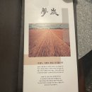 KT무안지사 | 삼각지역 맛집_평일 웨이팅 성공 우대갈비 "몽탄"