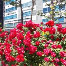 구도일주유소신도시 이미지