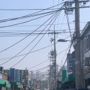 대추나무칼국수 이미지