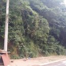 무성공인중개사사무소 이미지