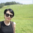 영철목장 이미지