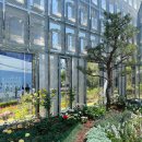 장미로30번길 이미지