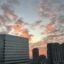 [캐나다워홀:토론토] Day+9~10 Winners / 또 장보기 / 배쓰앤바디웍스 / 이튼센터 / 블랙프라이데이