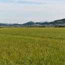 코리아둘레길 「서해랑길」(해남구간) 이미지