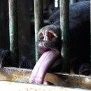 철제농장 이미지