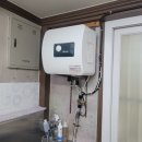 남창애견 이미지