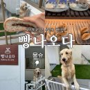 클렌베리 | 수영구 빵집] 코스트코 바로 옆 골목에 …? 아기 리트리버 뭉슈가 반겨주는 ‘빵나오다’ 첫 방문 후기💛🥐