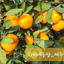 제주미싱 이미지