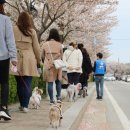 펫츠고트래블