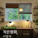 평화이용