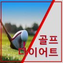 골프니스 이미지