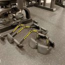 팀케이짐 이미지