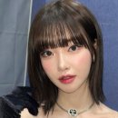법무법인세연