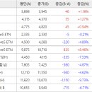 에스디렌터카 이미지