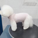 싹독싹독 이미지