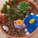 평산초등학교 병설유치원 이미지