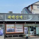 [전남 보성 맛집] 벌교 꼬막거리 보성여관 근처 현지인 한상정식 추천 태백산맥꼬막맛집