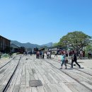 곡성 신기 구간 Daum카페