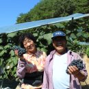 와룡농장 이미지