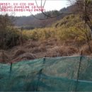 웅천읍두룡1리마을회관 | ♡보령시 토지(전)경매/충남 보령시경매&gt;충남 보령시 웅천읍 두룡리 72 경매 정보/ 2018타경15690