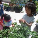 코레일오류동어린이집 이미지