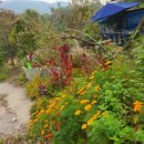 실로암떡집 이미지