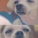 라이크뮤직실용음악학원 이미지