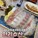 [구미] 봄 맞이 감성돔, 도다리, 줄돔 먹고 왔어용🐟 옥계 횟집 “만리수산”