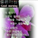 최고의 인생 이미지